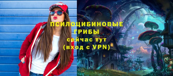 a pvp Богданович
